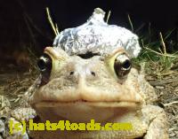 /home//u458753944/public_html/sourcegallery//Roxborough Toad Detour/2013-2019/2016/2016-04-22/P4220106.JPG
